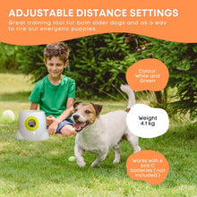 Load image into Gallery viewer, Hyper Fetch Maxi Dog Ball Thrower