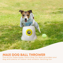 Load image into Gallery viewer, Hyper Fetch Maxi Dog Ball Thrower
