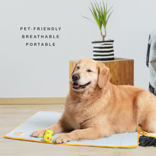 Load image into Gallery viewer, Pet Dog Cooling Mat Non-Slip Roll Up Medium  PINK