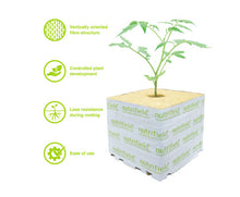 Load image into Gallery viewer, Stonewool 8 Pack 75x75x65mm Propagation Block Nutrifield