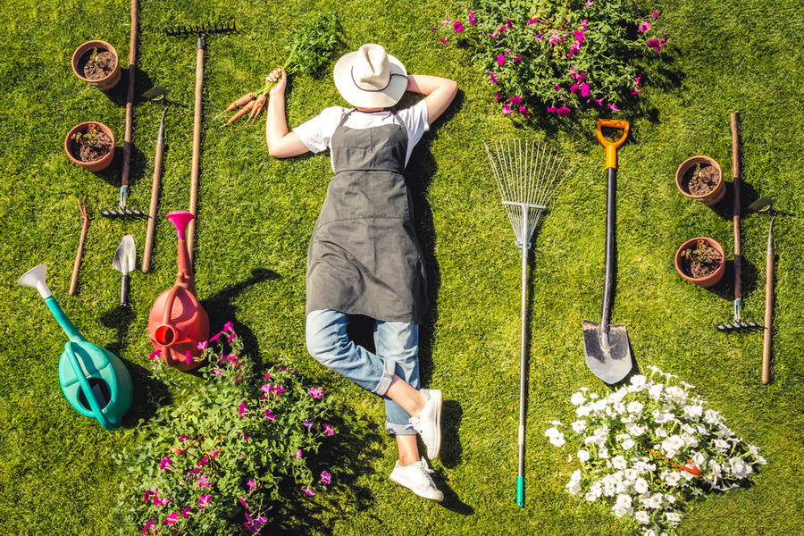Garden Like a Pro with These 10 Essential Gardening Tools