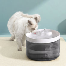 Load image into Gallery viewer, i.Pet Pet Water Fountain Feeder Dispenser Dog Cat Drinking Automatic 2.2L
