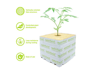Stonewool 15 Pack 40x40x40mm Propagation Block Nutrifield